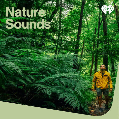 Nature Sounds