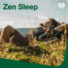 Zen Sleep