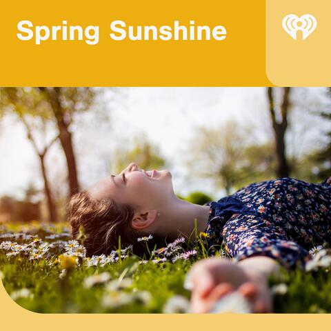 Spring Sunshine