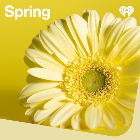 Spring