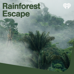Rainforest Escape