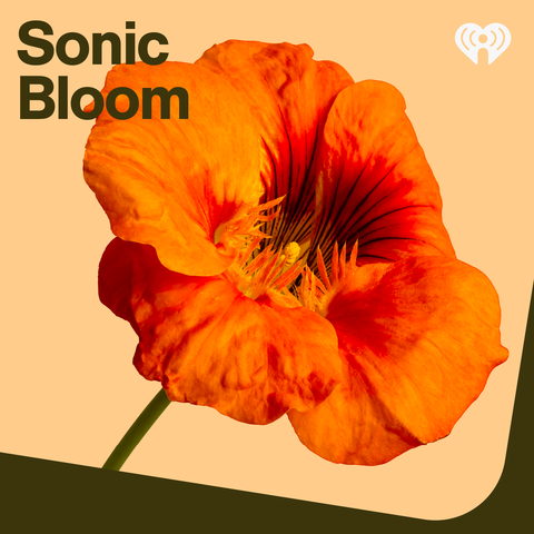Sonic Bloom