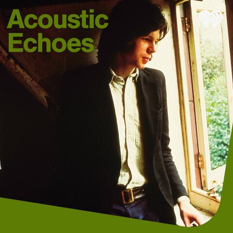 Acoustic Echoes