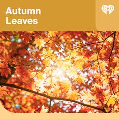 Autumn Leaves