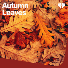 Autumn Leaves