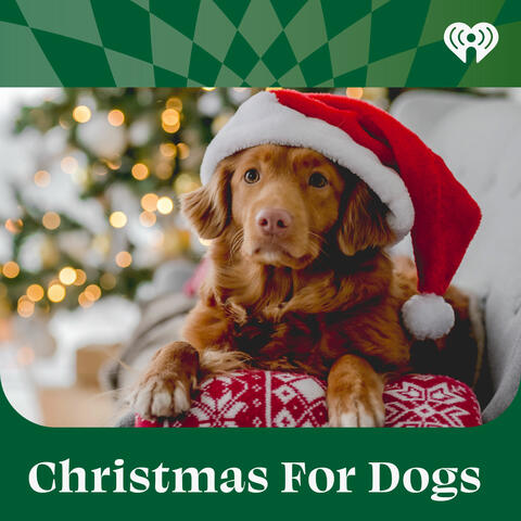 Christmas For Dogs
