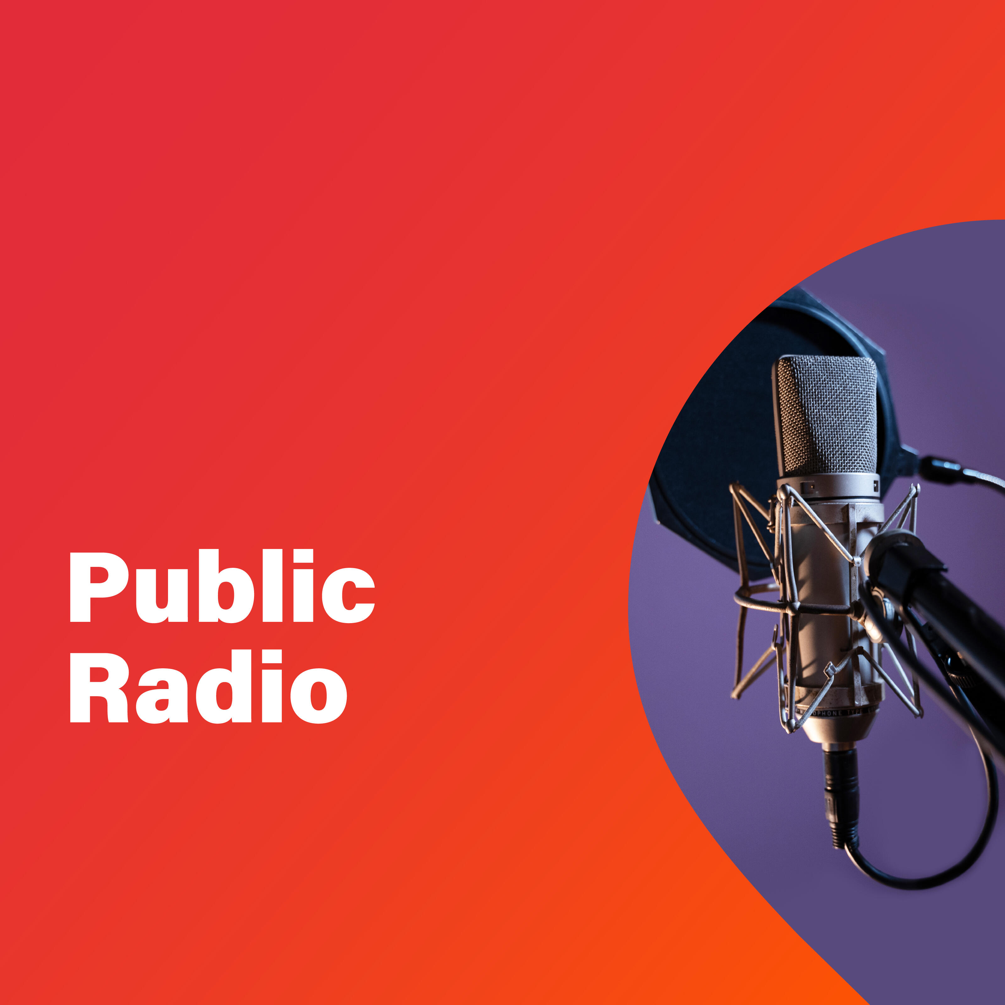 Public radio hot sale