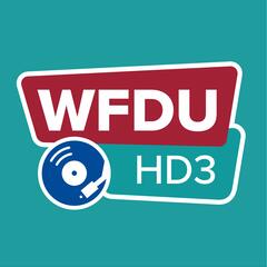 89.1 HD3 WFDU