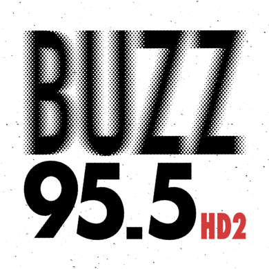 BUZZ 95.5 logo