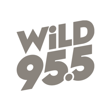 WiLD 95.5 logo