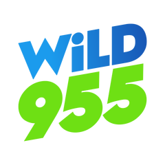 WiLD 955