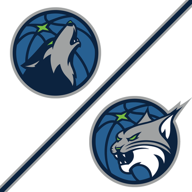 Minnesota Timberwolves/Lynx logo