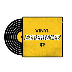 The Vinyl Experience
