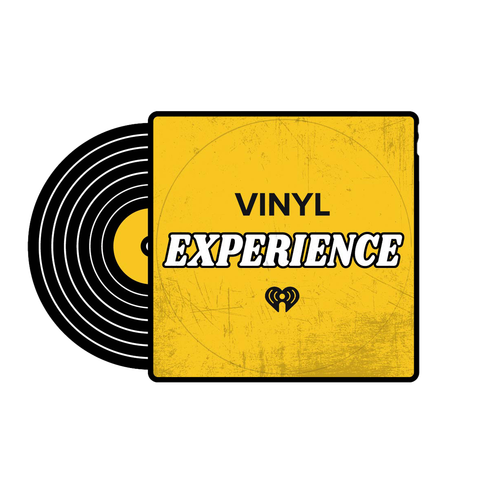 The Vinyl Experience