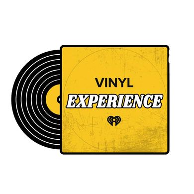 The Vinyl Experience logo