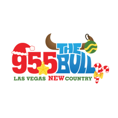 95.5 The Bull