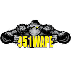 95.1 WAPE