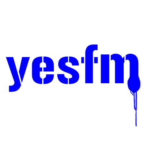 89.3 WYSZ