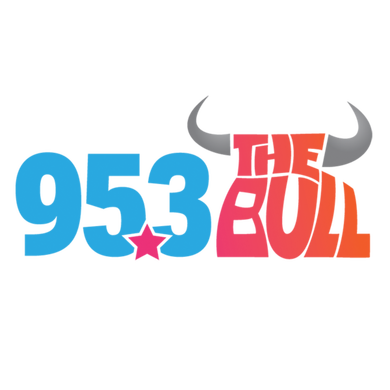 95.3 The Bull logo