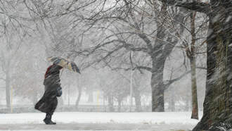 Get The Latest Weather Info