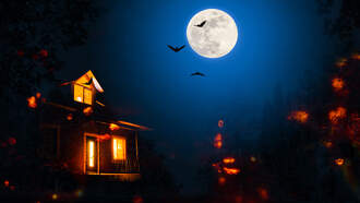 Our Halloween Guide has Haunted Houses, Fall Festivals and Trick-or-Treat times. 