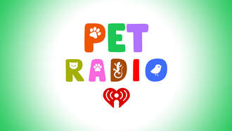 Calming Music To Relax Your Pets!