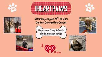 iHeartPaws pet adoption event