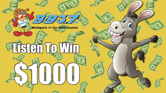 The Big Dollar Donkey