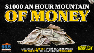 $1000 an Hour Mountain of Money