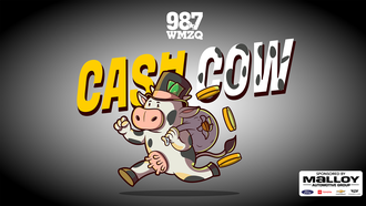 Cash Cow