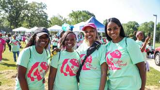 SISTA STRUT REGISTRATION