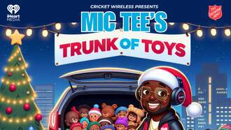 Mic Tee's Trunk of Toys