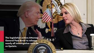 Trump Signs Law Requiring Release Of Epstein Files — What Happens Next