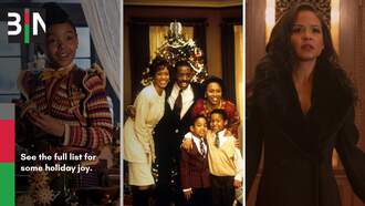 18 Black Holiday Movies To Make The Season Brighter