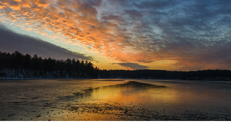 walden pond