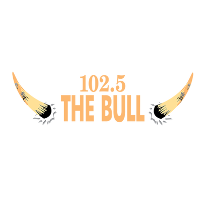 102.5 The Bull logo