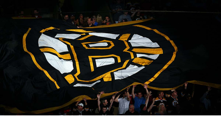 boston bruins logo