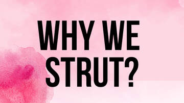 Why We Strut