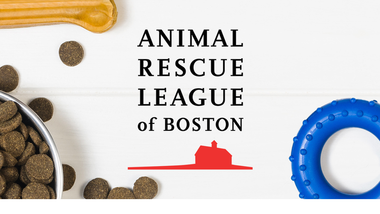 Animal Rescue League of Boston