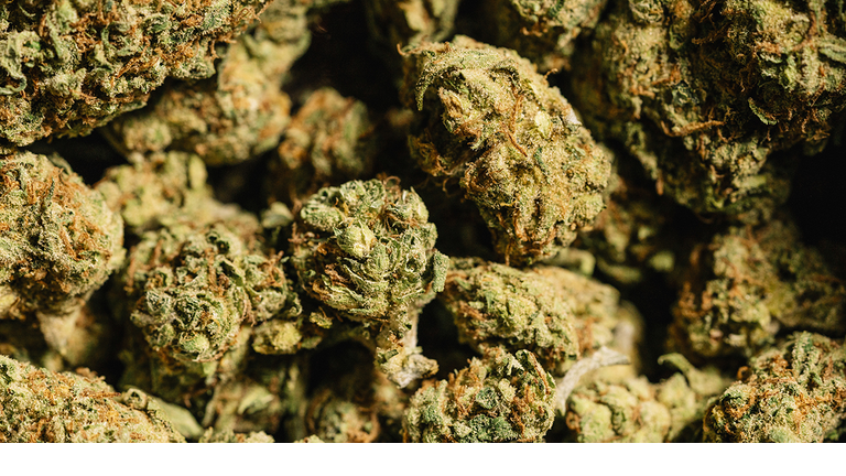 weed marijuana getty