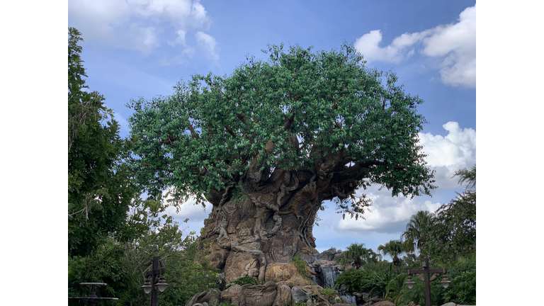 WDW The Gift of Magic Holiday Event