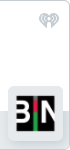 BIN Logo