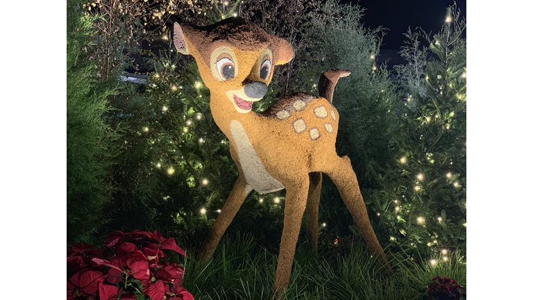 WDW The Gift of Magic Holiday Event