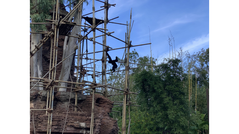 WDW The Gift of Magic Holiday Event 2018