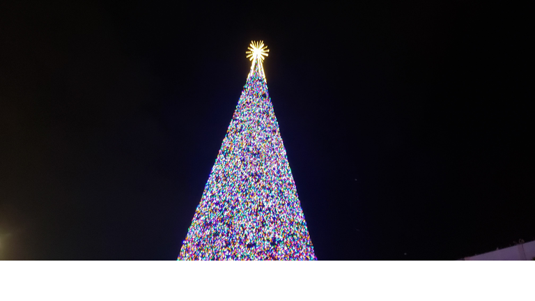 Delray tree lighting