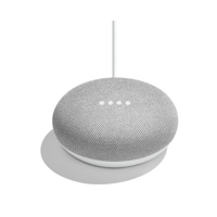 Google Home Mini