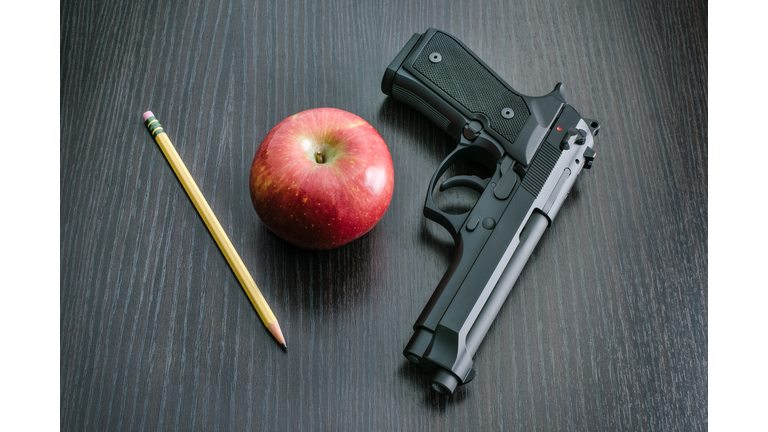 9mm Handgun for Teacher (Credit: iStock / Getty Images Plus)