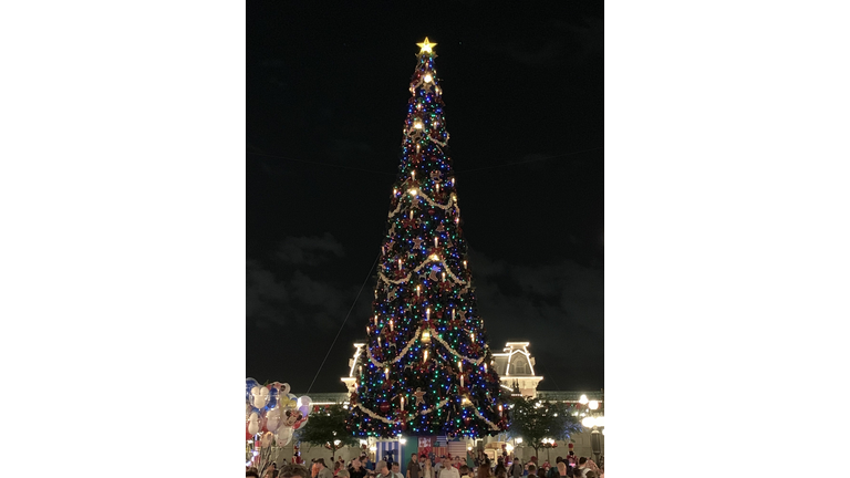 WDW The Gift of Magic Holiday Event