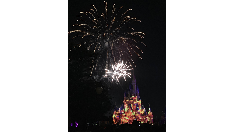 Walt Disney World Flower & Garden Festival