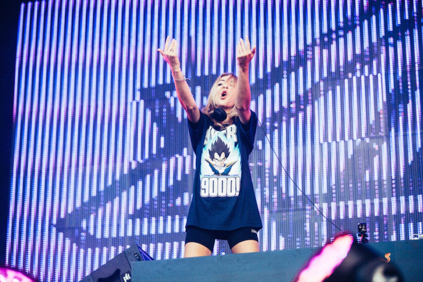 Alison Wonderland performs at the Mad Decent Block Party